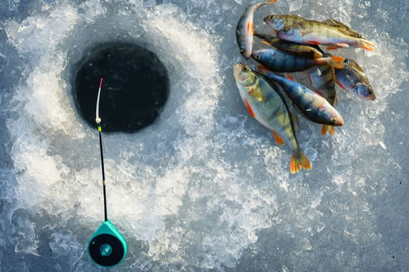 ice-fishing-001